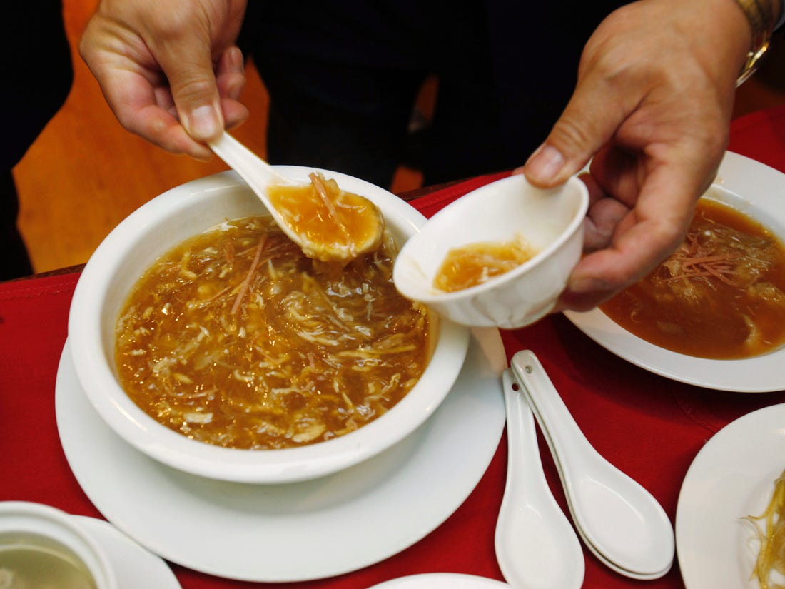 Extinction in a Bowl of Shark-Fin Soup - TIME